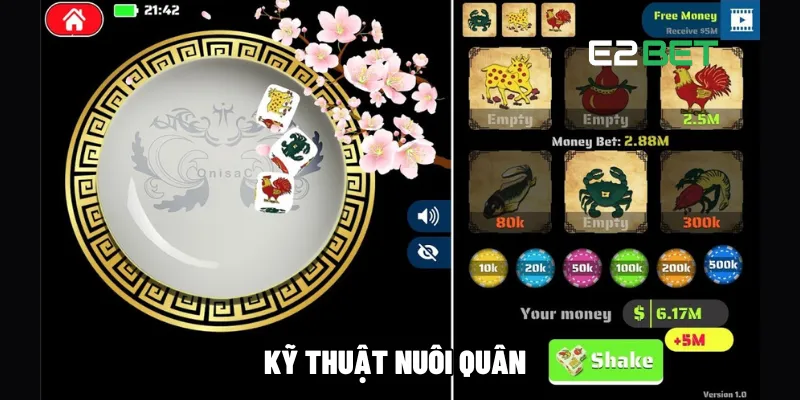 Kỹ thuật nuôi quân